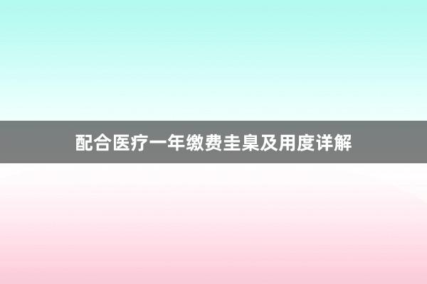 配合医疗一年缴费圭臬及用度详解